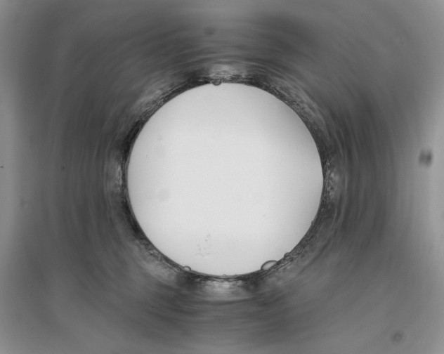 X0000096200375200802151531