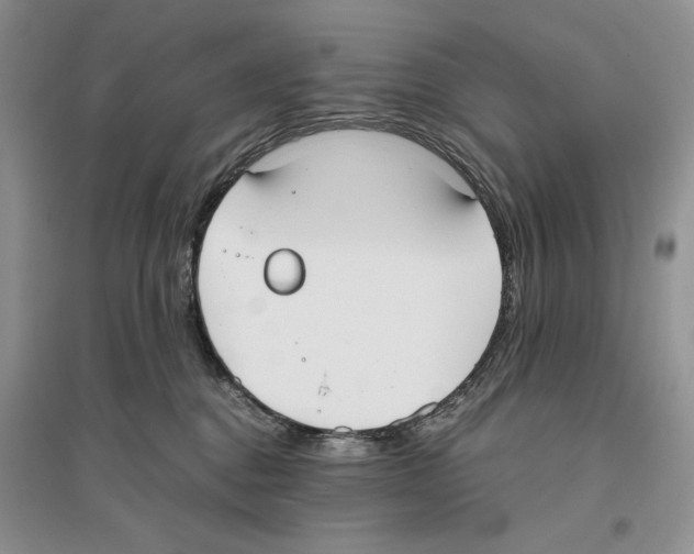 X0000096200376200802151531