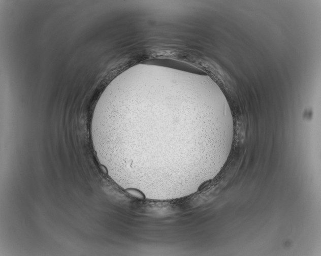 X0000096200377200802151531