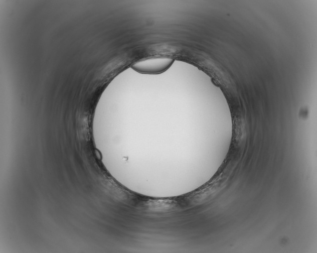 X0000096200378200802151531