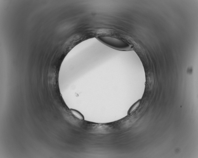 X0000096200379200802151531