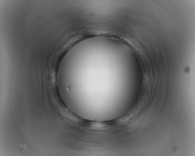 X0000096200380200802151531