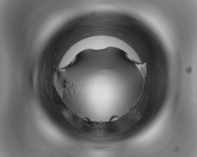 X0000096200382200802151531