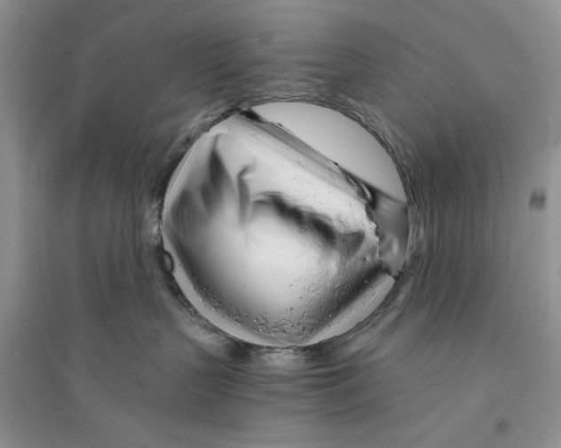 X0000096200383200802151531