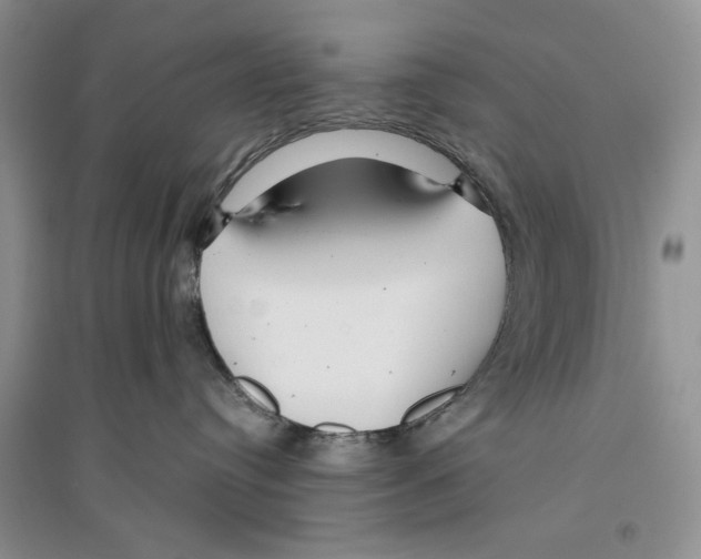 X0000096200384200802151531