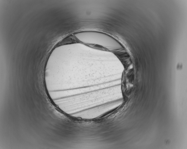 X0000096200385200802151530