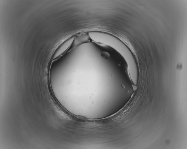 X0000096200389200802151530