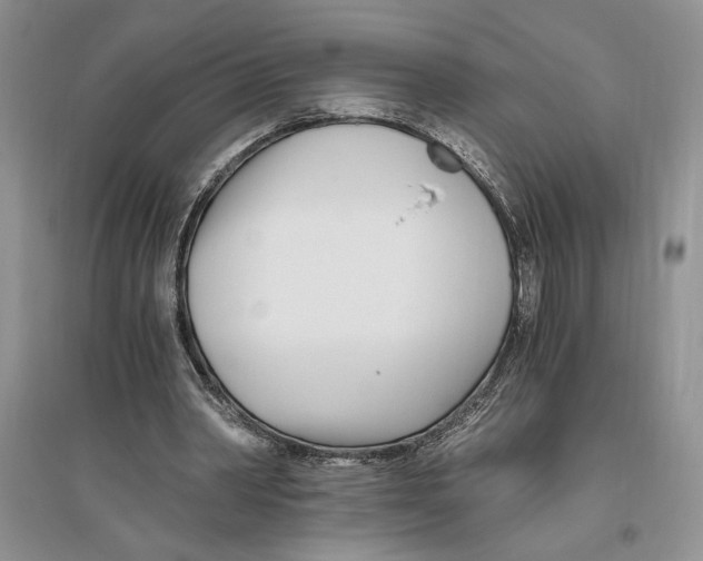 X0000096200390200802151530