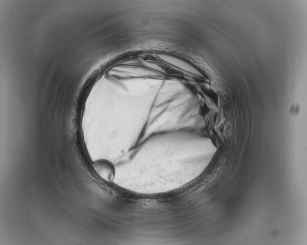 X0000096200392200802151530