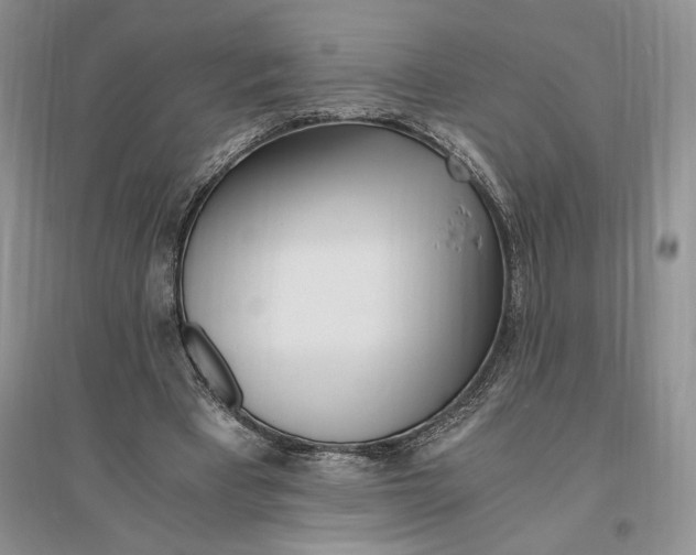 X0000096200393200802151530