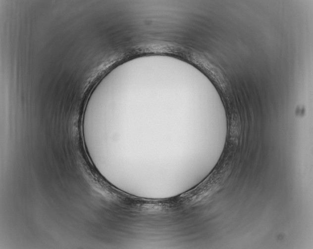 X0000096200394200802151530