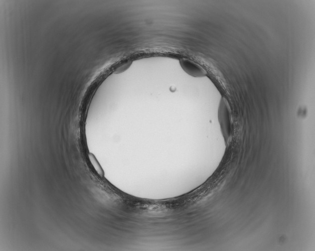 X0000096200395200802151530