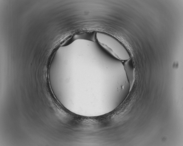 X0000096200397200802151530