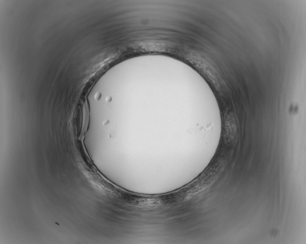 X0000096200398200802151530