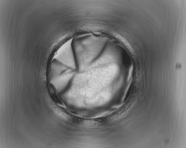 X0000096200399200802151530