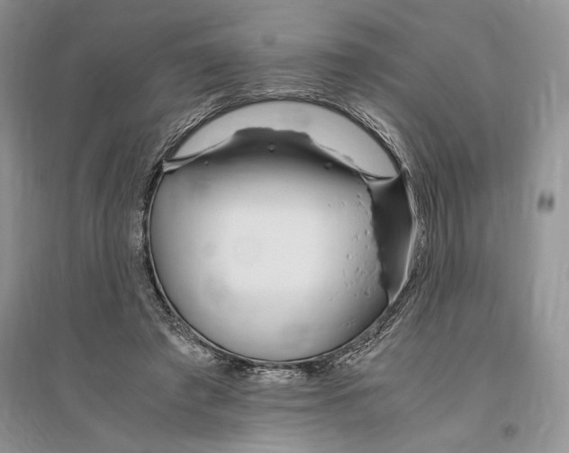 X0000096200401200802151530