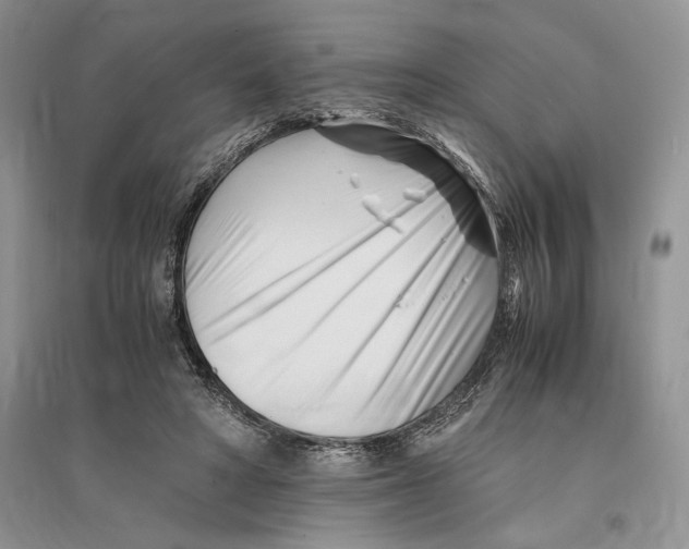 X0000096200402200802151530