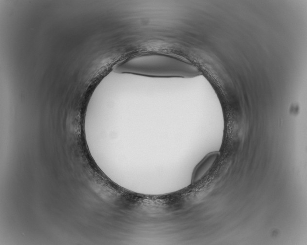 X0000096200403200802151530