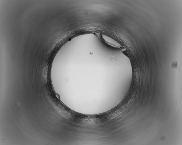 X0000096200404200802151530