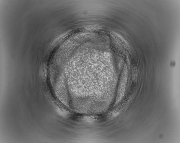 X0000096200405200802151530