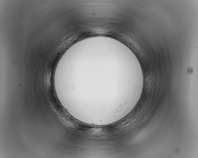 X0000096200406200802151530