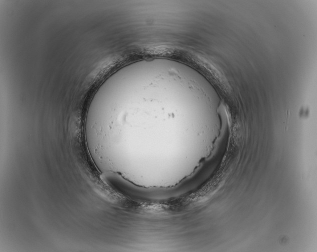 X0000096200407200802151530