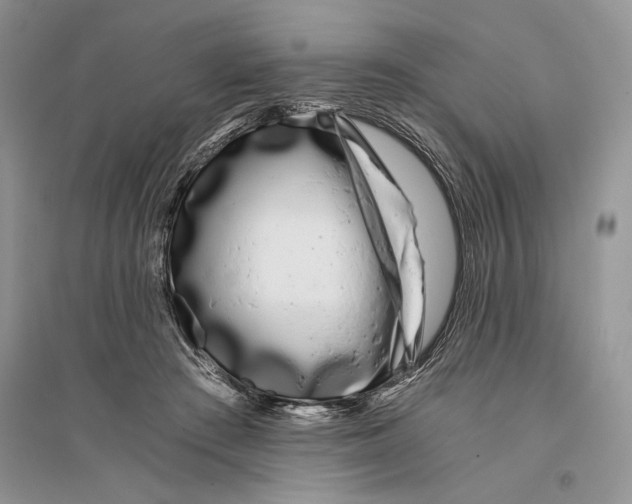 X0000096200409200802151530