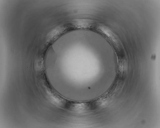 X0000096200411200802151530