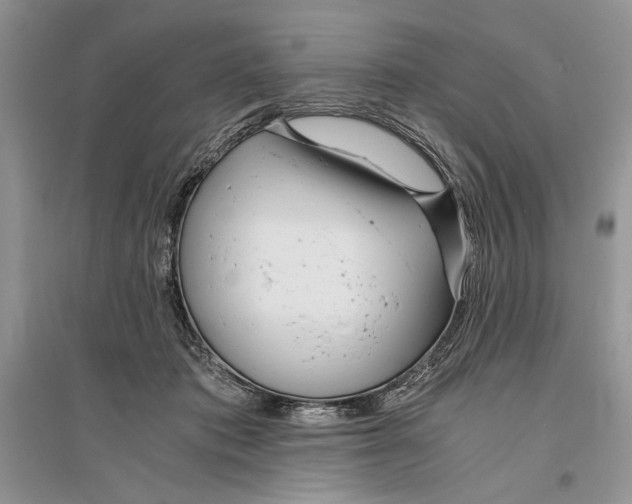 X0000096200413200802151530