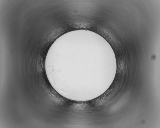 X0000096200414200802151530