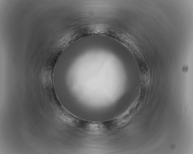 X0000096200415200802151530