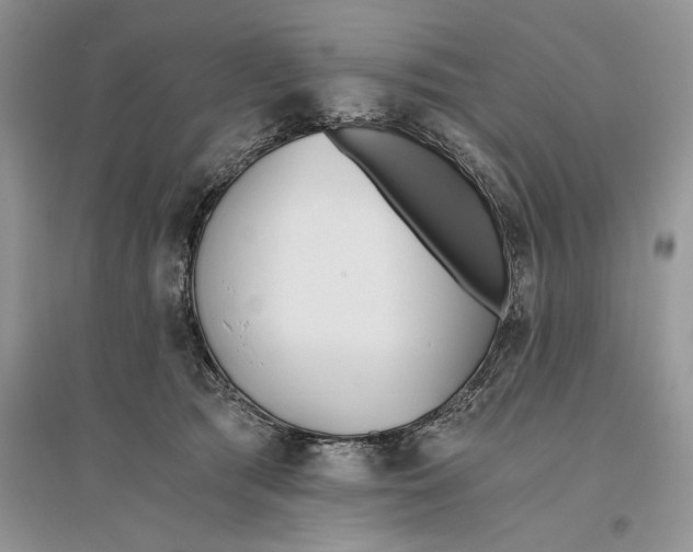 X0000096200417200802151530