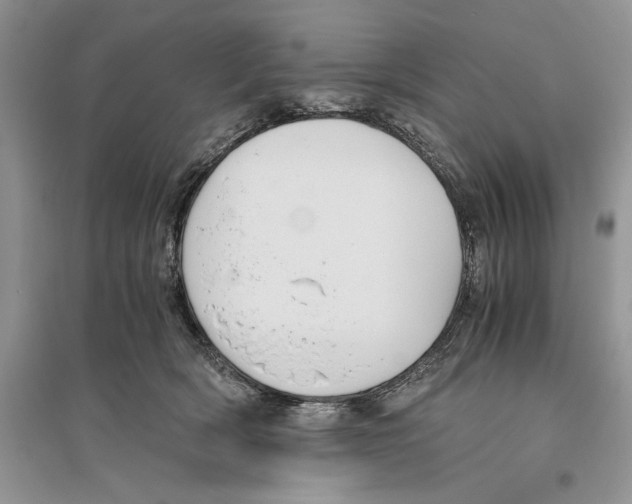 X0000096200418200802151530