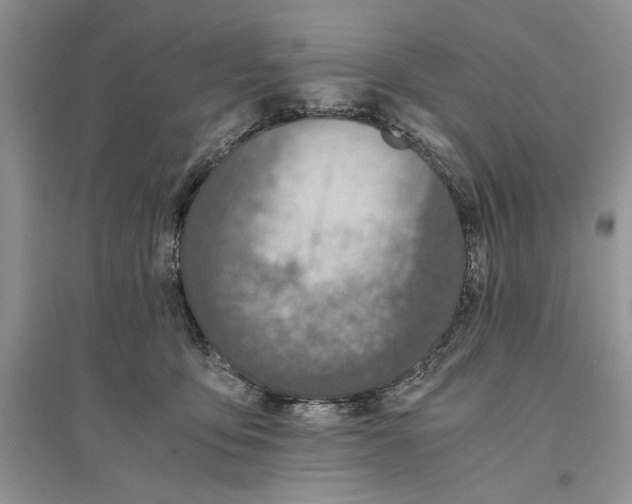 X0000096200419200802151530