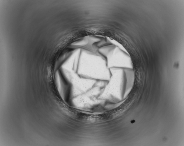 X0000096200420200802151530