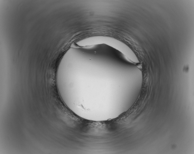 X0000096200421200802151530