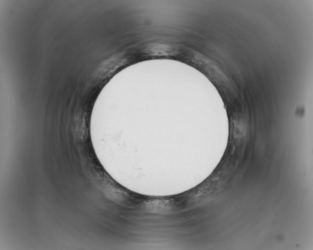 X0000096200422200802151530