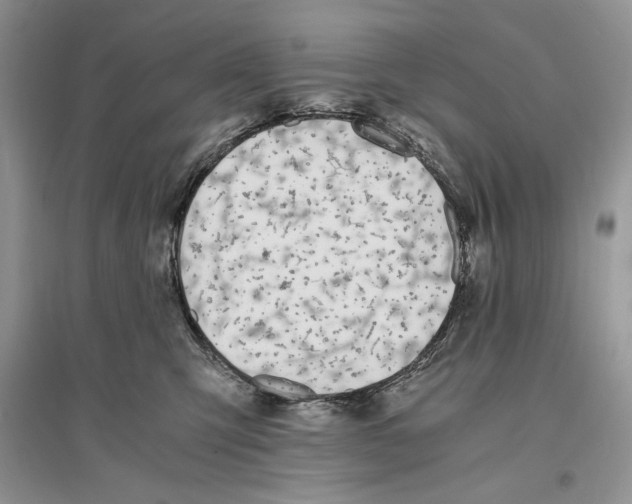 X0000096200423200802151530