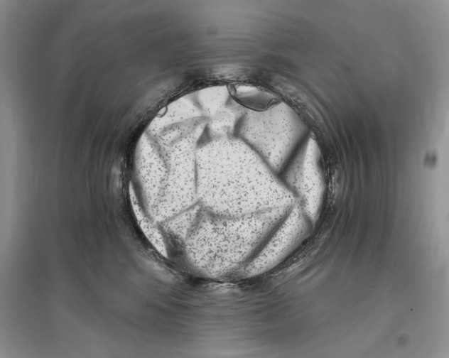 X0000096200424200802151530