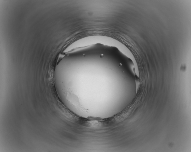 X0000096200425200802151530