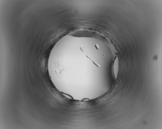 X0000096200428200802151530