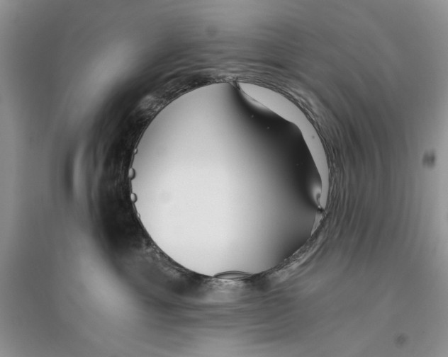 X0000096200429200802151530