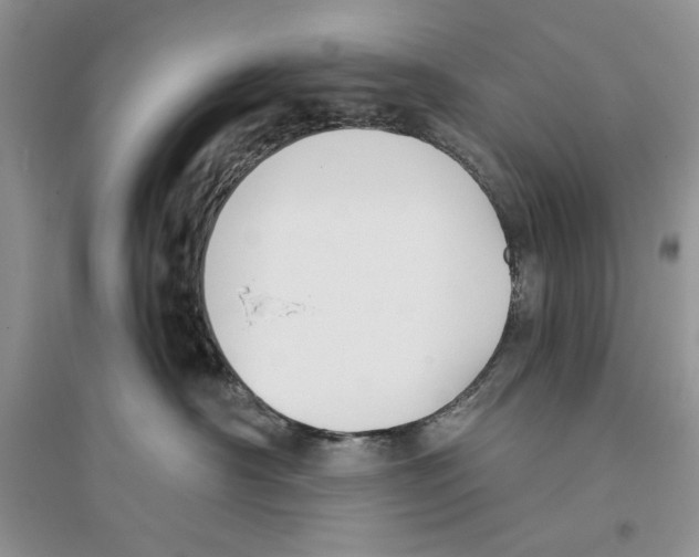 X0000096200430200802151530