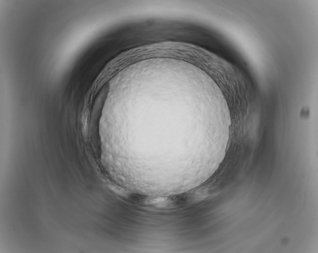 X0000096200431200802151530