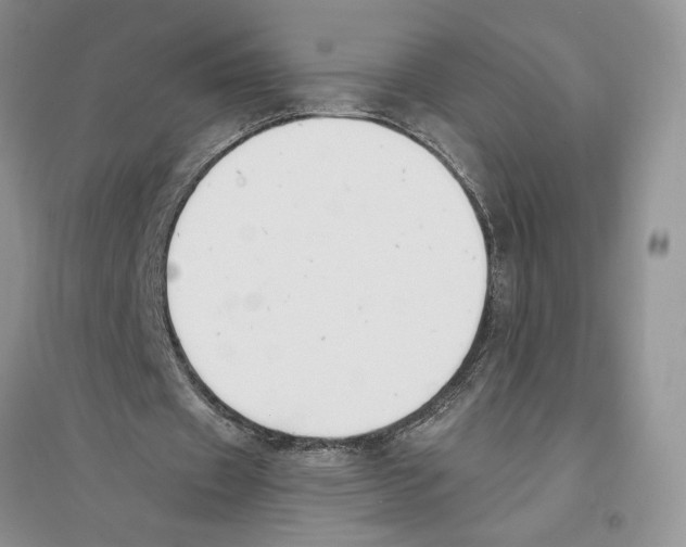 X0000096200433200802151529