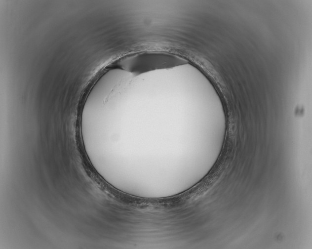 X0000096200434200802151529