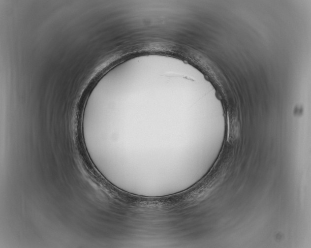 X0000096200435200802151529