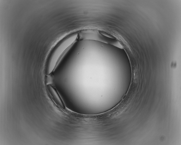 X0000096200436200802151529