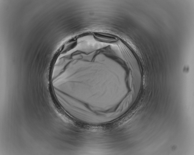 X0000096200438200802151529