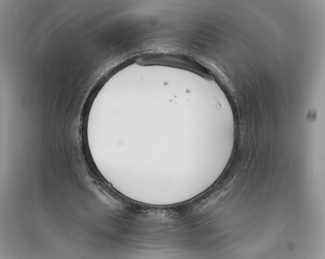 X0000096200439200802151529